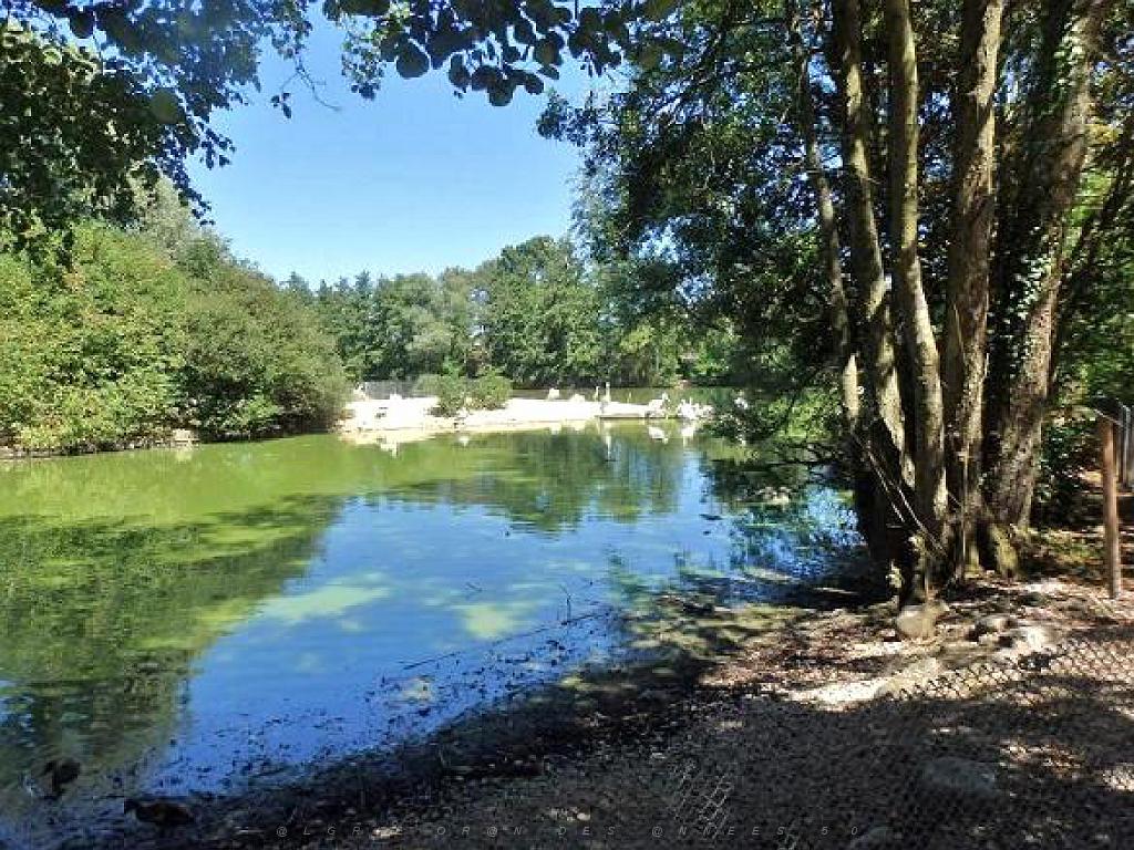101PARC AUX OISEAUX DANS L AIN 2016 2_000049.jpg
